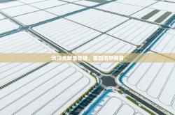 沃尔夫斯堡告捷，重回德甲榜首