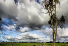 土耳其势如破竹，获得欧洲杯席位