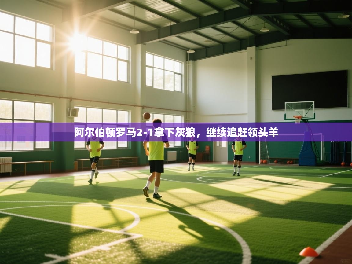 阿尔伯顿罗马2-1拿下灰狼,继续追赶领头羊 第1张