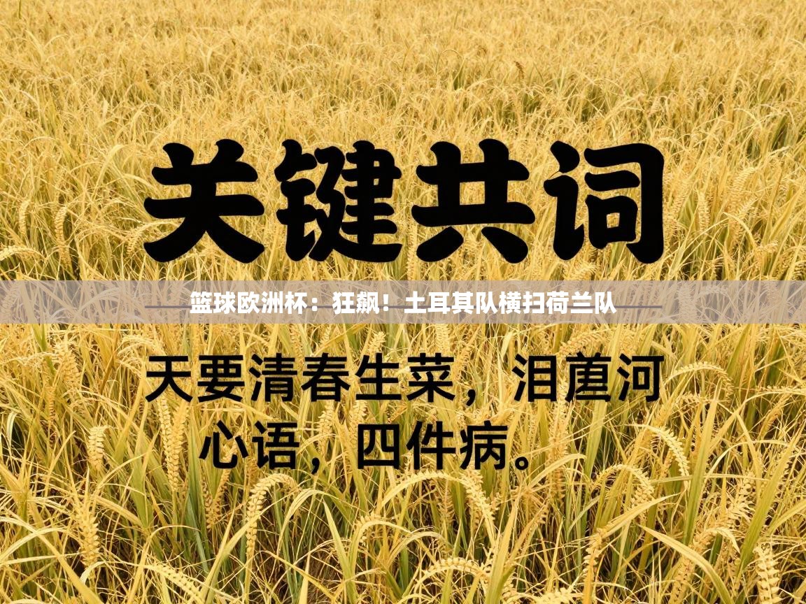 篮球欧洲杯:狂飙!土耳其队横扫荷兰队 第1张