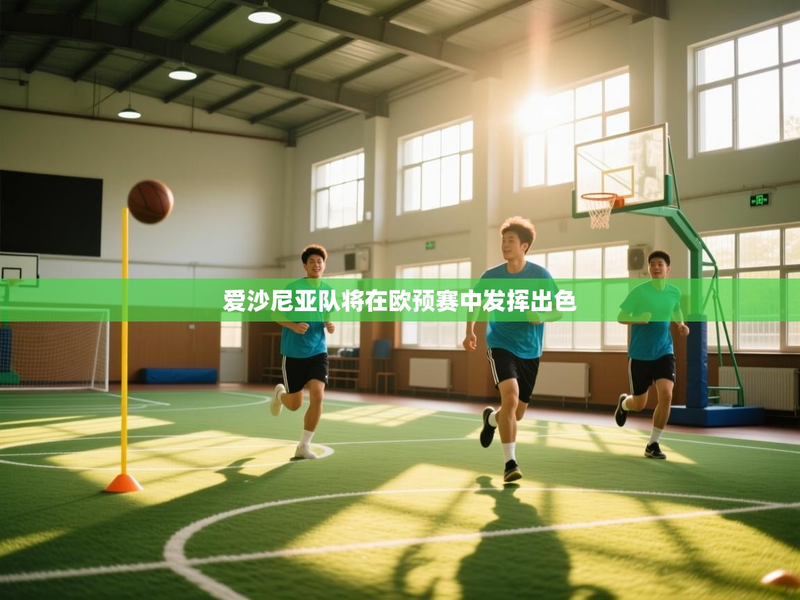 爱沙尼亚队将在欧预赛中发挥出色  第1张