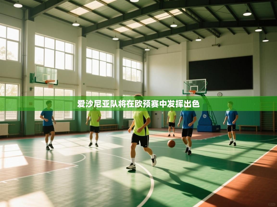 爱沙尼亚队将在欧预赛中发挥出色  第2张