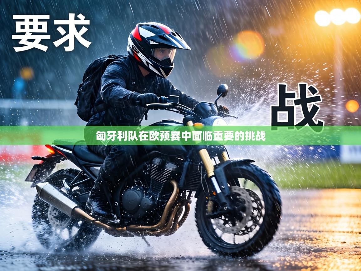 匈牙利队在欧预赛中面临重要的挑战  第2张