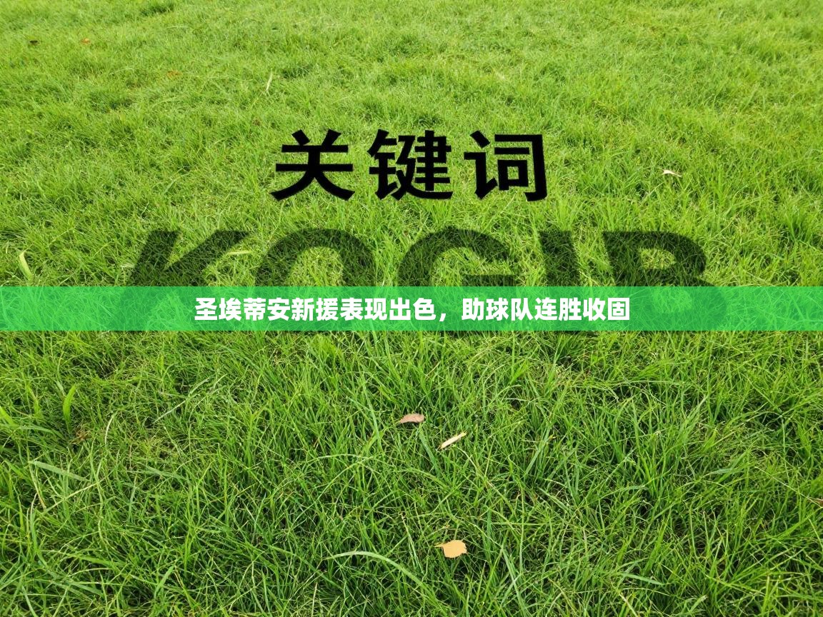 圣埃蒂安新援表现出色,助球队连胜收固 第1张