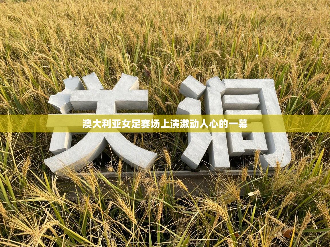 澳大利亚女足赛场上演激动人心的一幕  第1张