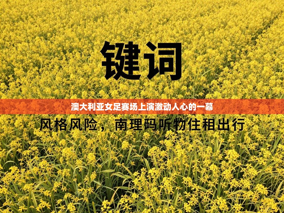 澳大利亚女足赛场上演激动人心的一幕  第2张